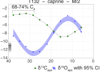 Stable Isotope Analysis